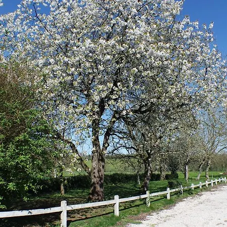 Gites De La Bruniere La Pommeraie-sur-Sèvre Buitenkant foto