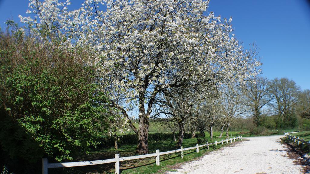 Holiday home De La Bruniere La Pommeraie-sur-Sevre